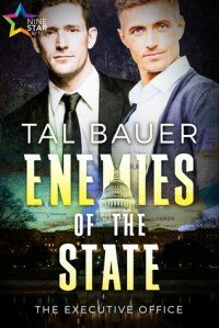 Enemies of the State (Vallie’s Review)