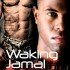 Waking Jamal (Valhalla Initiative #1)